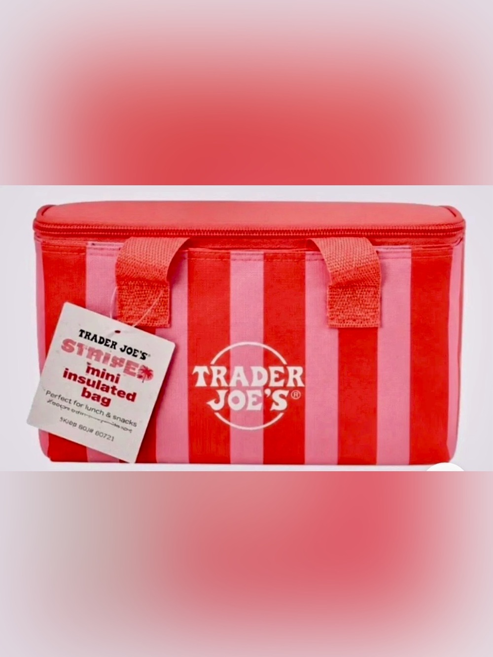 Trader Joe's Red Striped Mini Insulated Tote/Lunch Bag